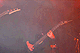 Zakk live!