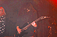 Zakk live!