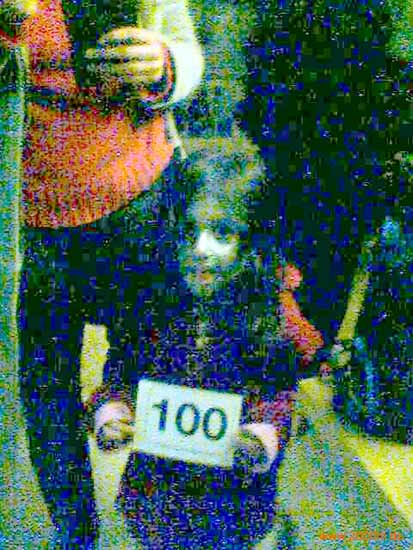 kleine-Karnevalistin