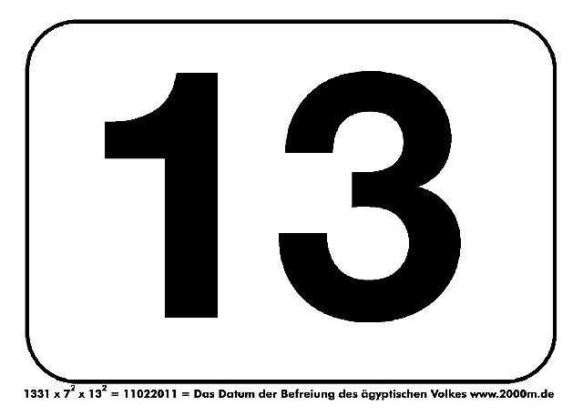 Der Karnevalspass 2011 f&uuml;r Karnevalsagenten in friedlicher Mission