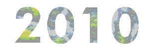 2010 logo