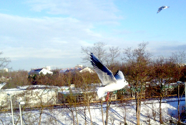 Abflug ins Jahr 2011