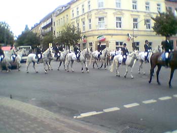 schuetzenzug2
