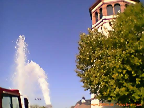 07010538