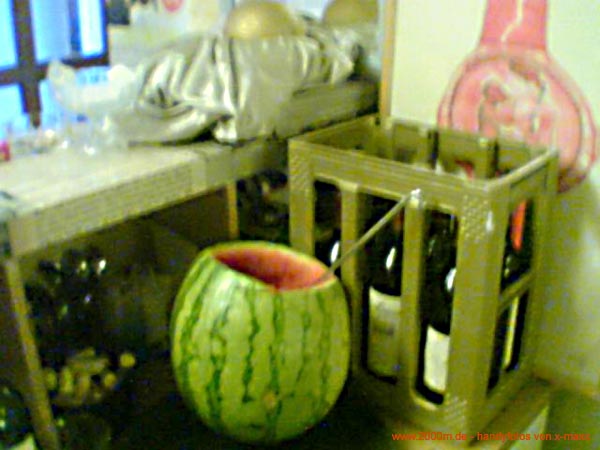 goldene supersondermelone (02)