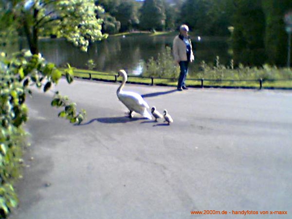 kapellencup 2006(36)