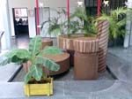 koelnbanane_brunnen