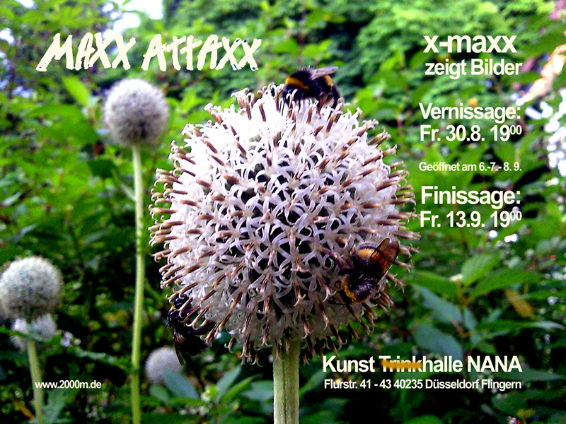 Ausstellung in der Kunst(trink)halle NANA Vernissage 30.8. 2013