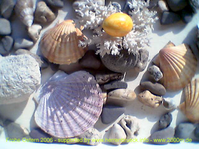 Die Auslage des "Herrenbrueck" am 16.4.06 - Ostersonntag