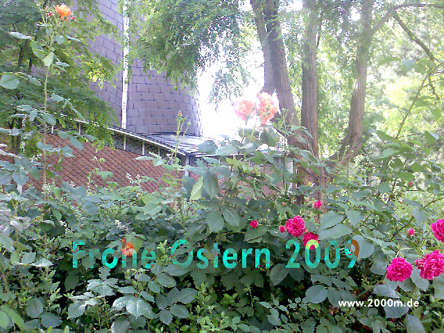 Frohe Ostern 2009