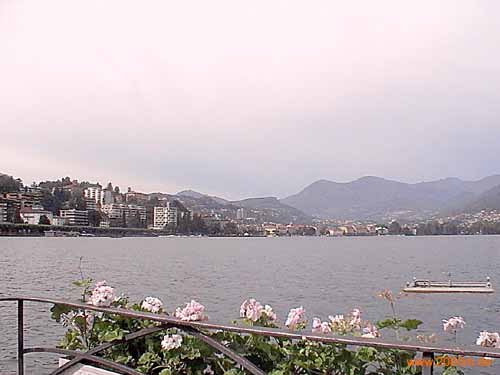 DVC00019