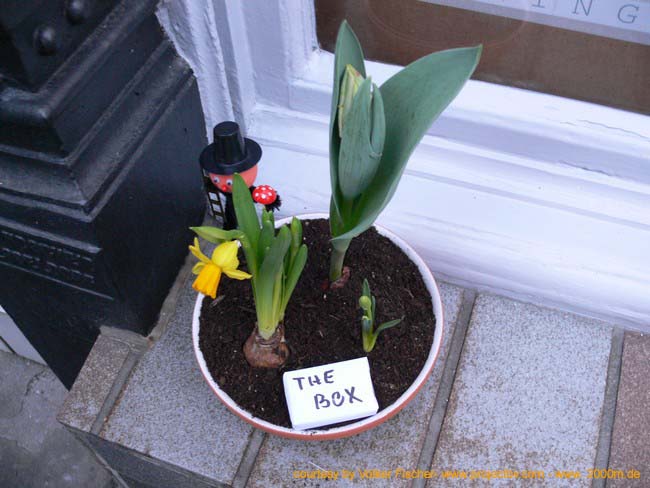 The_Box_preopening_1011