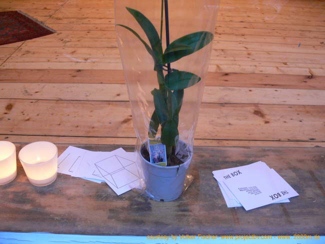 The_Box_preopening_1013