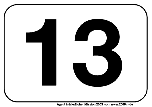 Geheimausweis der wilden 13