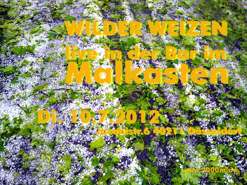 WILDER WEIZEN live in der Bar im Malkasten, klick zum Movie