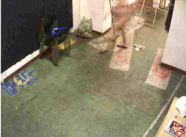 Andy beim NAcktputzen