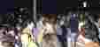 Ratinger IMaGe